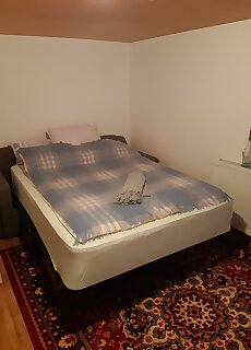 Bakony Kucko Vendeghaz Olaszfalu