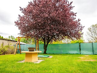 Viola Cottage Bogács szállás