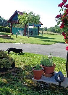 Nika Vendeghaz Az Orsegben Oriszentpeter