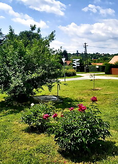 Alszer25 Vendeghaz Oriszentpeter