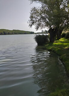 Marcsi Vendeghaz Pogany