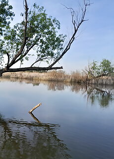 Stone Vendeghaz Poroszlo