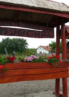 Nemeth Tanya Vendeghaz Pusztaszer