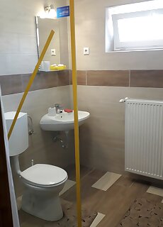 Artemisz Vadasz Vendeghaz Romhany