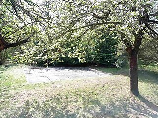 Fenyves Villa Godollo szállás