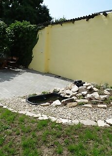 Stefan Vendeghaz Sarospatak