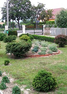 Katalin Vendeghaz Sarospatak