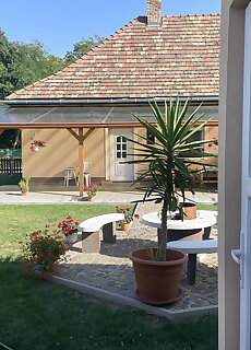 Ezustfenyo Vendeghaz Sarospatak