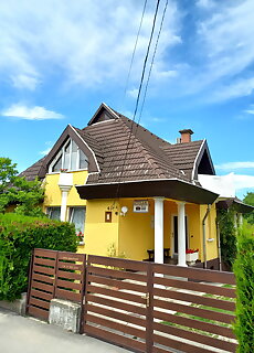 Julia Vendeghaz Sarospatak