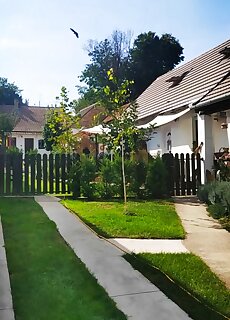 Somberek Hansi Vendeghaz