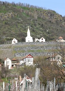 Bagdal Vino Vendeghaz Somlojeno
