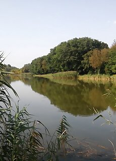 Platan Vendeghaz Szalanta