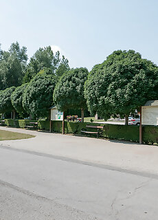 Galagonya Vendeghaz Szalka
