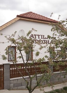 Attila Vendeghaz Szamosujlak