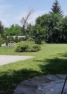 Nyarfas Vendeghaz Szeged