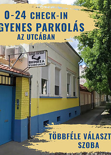 Brindza Vendeghaz Szeged