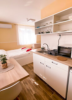 Fasor Vendeghaz Szeged