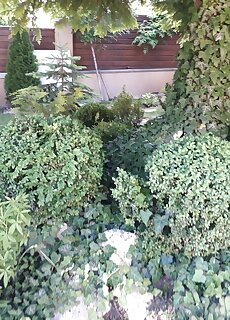Vinceller Vendeghaz Tarcal