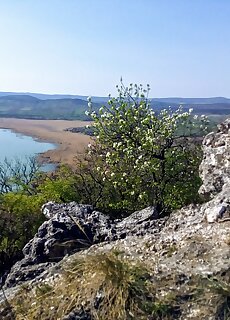 Fuge Vendeghaz Tihany