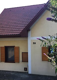 Iris Vendeghaz Tihany