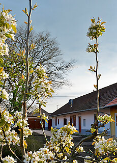 Rigofutty Vendeghaz Tiszaalpar