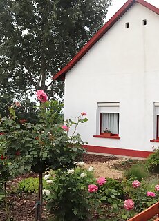Akacvirag Tanya Vendeghaz Tiszabura