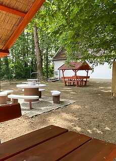 Toparti Vendeghaz I. Tiszafured