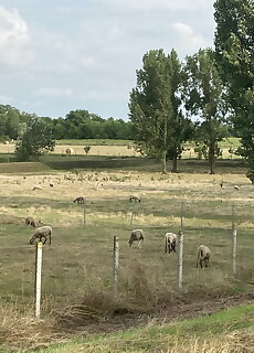 Kis Tisza Horgasz Vendeghaz Tiszaug