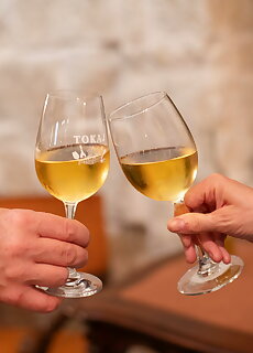 Tokaji Dulo Vendeghaz Tokaj