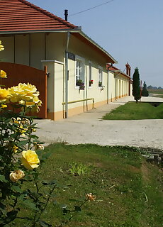 Rita Vendeghaz Tokorcs