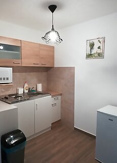 Cinege Vendeghaz Tolcsva