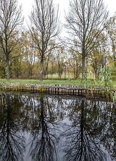 Lugas Vendeghaz Totkomlos