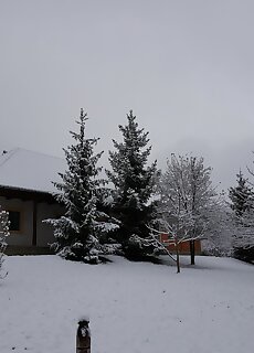 Yeti Vendeghaz Vagashuta