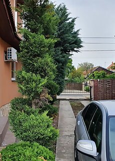 Luxury Vendeghaz Vecses