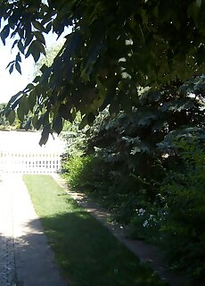 Fuzesi Vendeghaz Veszprem