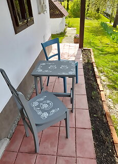 Orsegi Bagoly Vendeghaz Viszak