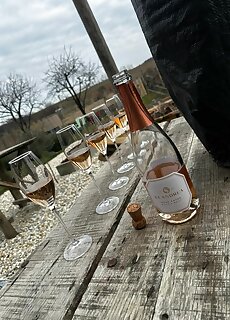 Viragos Birtok Es Vendeghaz Villany