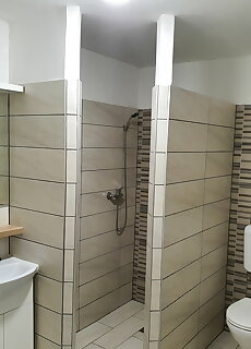 Peter S Apartman Papa