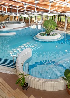 Deluxe Thermal Resort Apartman Papa