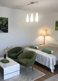 Borbarat Apartman Villany