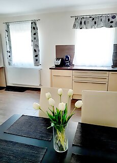 Elixir Apartman Villany