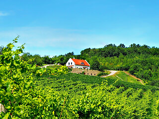 Borbora Borhaz Villa Vaszoly szállás