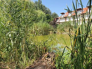 Cserke Thermal Apartman Cserkeszolo szállás