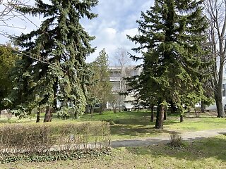 Csillag Apartman Csopak szállás