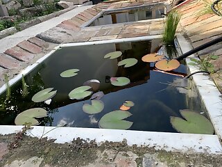 Viki Apartmanhaz Dorog szállás