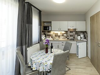 Star Apartman Eger szállás