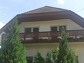 Dani Apartman Fonyod szállás