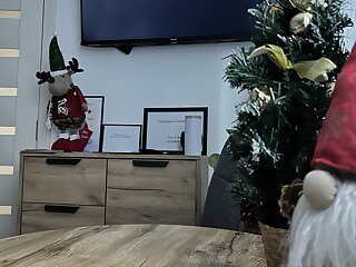 Rez Apartmanok Gyula szállás