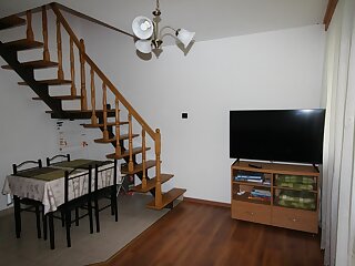 Borka Apartman Gyula szállás