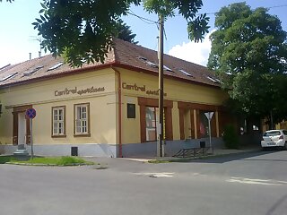 Central Apartman Gyula szállás